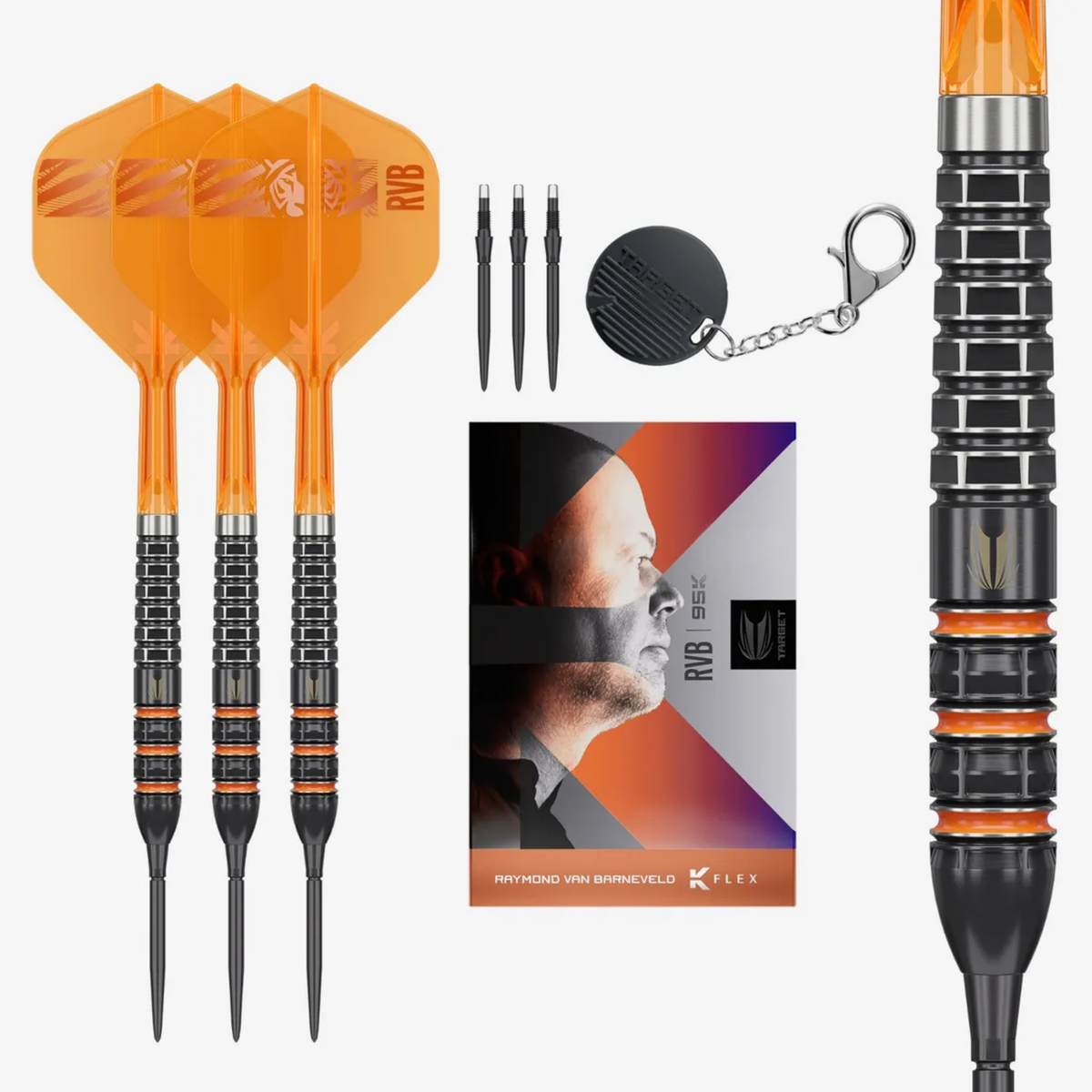 Raymond Van Barneveld 95K SP